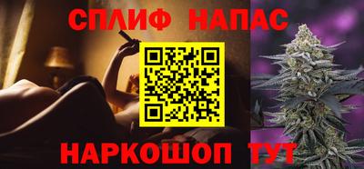 спиды Сланцы