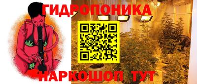 спиды Сланцы
