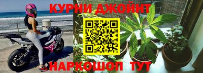 гидра Славгород