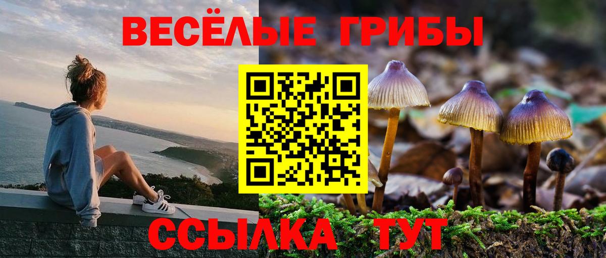 Псилоцибиновые грибы GOLDEN TEACHER Нурлат